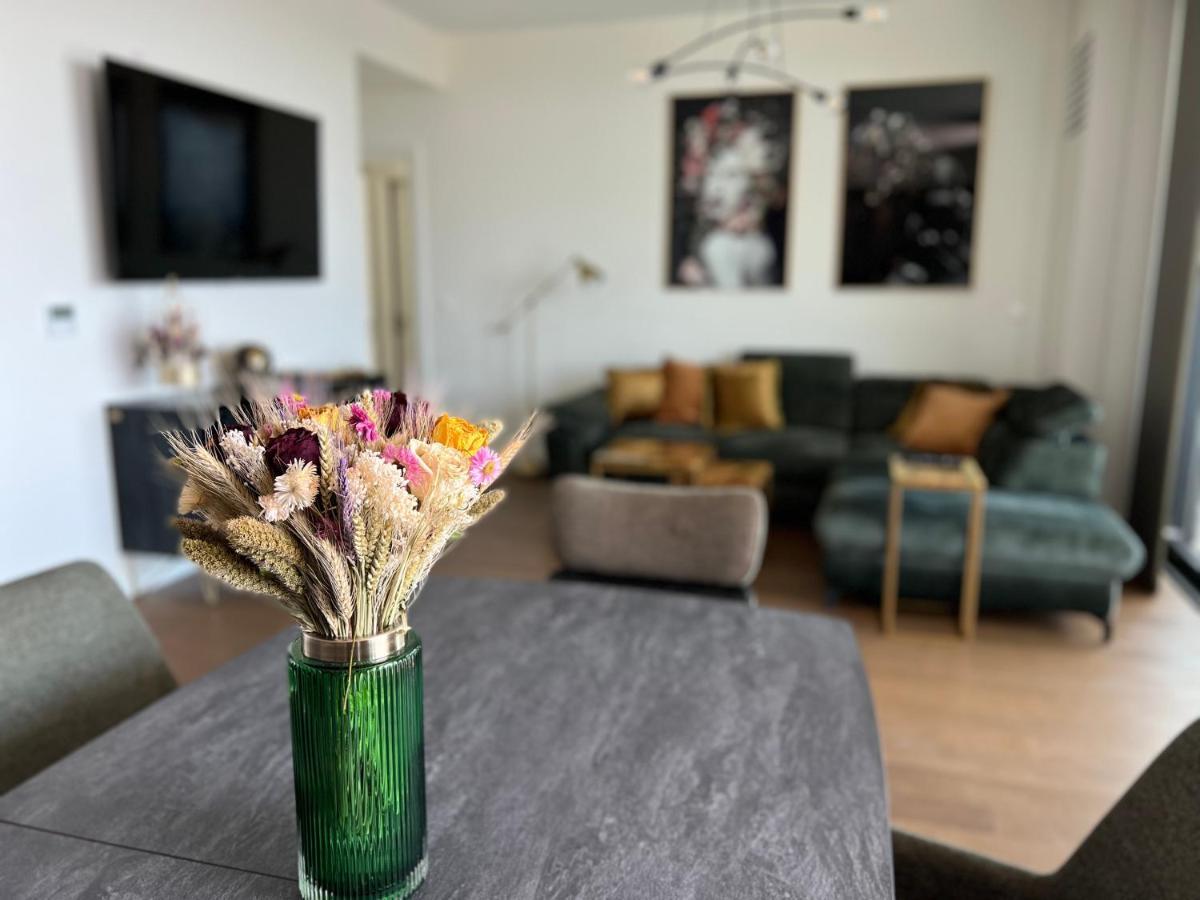 BW Terrace Top Floor Apartments With River View & Self Check-In ベオグラード エクステリア 写真